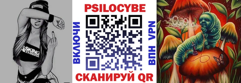 закладка Юхнов Псилоцибиновые грибы GOLDEN TEACHER